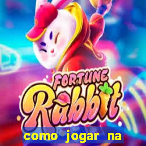 como jogar na lotinha do jogo do bicho